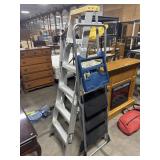 6ft Ladder & Step Ladder.