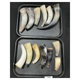 Lot Of Bull Horns & Powder Horns.