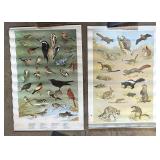 Game Commission Wild Life Identification Posters