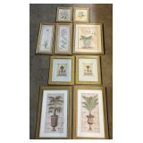 Botanical Art Prints w/ Gold Gilt Style Frames.
