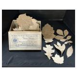 Vintage D. S. P. & Co. Shoe Box, Leaf Patterns.