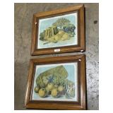 Early 1900ï¿½s Still Life Fruit Art Prints.