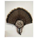 Taxidermy Turkey Feather Mount.