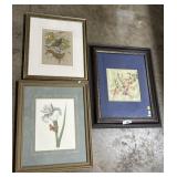 Japanese Silk & Botanical Prints.