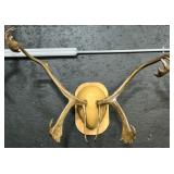 Mounted Taxidermy Moose Antlers.