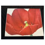 Artagraph Numbered Red Poppy Print.