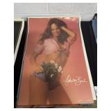 1970/80ï¿½s Vtg Promotional Posters Featuring Tanya