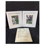 2 Framed Butterfly Pictures and Mt. Gretna Adv.