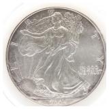 2004 American Eagle 1oz Fine Silver Dollar