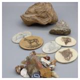 Rock Collection For the Rock Hound & Etched Belt Rock Collection For the Rock Hound & Etched Belt
