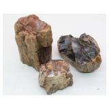 3 Petrified Wood Chunk Specimens 3 Petrified Wood Chunk Specimens