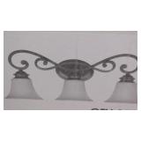 Designers Fountain® Vanity Light 81803-FSN