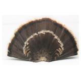 Unique Tom Turkey Tail Wall Fan Unique Tom Turkey Tail Wall Fan