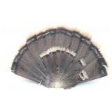 Tom Turkey Feather Fan Mount