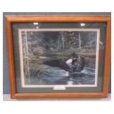 "SUNLIT" LOON Art Print by Andrew Kiss "SUNLIT" LOON Art Print by Andrew Kiss