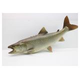 Mounted Fiberglass Lake Trout Mounted Fiberglass Lake Trout