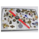 Collection of Pins/Tacks/Charms/Miniatures