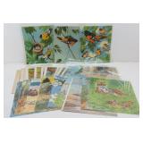 Pictures in Full Color from Animal Babies &