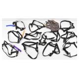 (11) Llama Halters and Lead Rope, Ollie Llamas ...