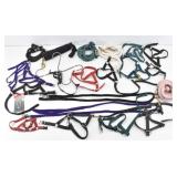 Llama Lead Ropes & Halters