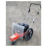 Trimmer Mower Briggs & Stratton Quantum Power