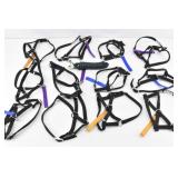 (12) Ollie Llamas Halters M, L, XL