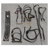 Leather Horse Tack- Bits, Headstall, Cinch & More