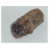 Precious Opalized Petrified Wood Rock Specimen