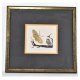 Embossed Signed/# Butterfly Print by James Romer