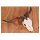 Wild Spanish Goat Skull Trophy Mount