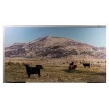 Almo, Idaho Cattle Ranch Large Canvas Photo Art