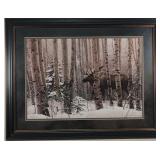 "A Walk in the Woods" Print by Stephan Lyman
