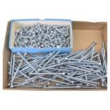 Carriage Bolts & Self Tap Screws