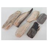 (6pcs) Polished Petrified Wood Specimens 8.1oz