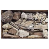 Box of Petrified Rocks & Stones