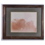 Bison Pair Sepia Framed Print