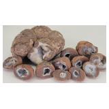 Collection of Geode Rocks - 12 Piedes