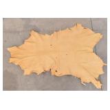 Doe Skin Leather