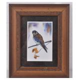 Gene Sherman Idaho Artist Kestral Watercolor Print