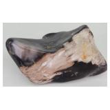 Polished  3" Petrified Wood Specimen 5.1oz