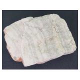 White Petrified Wood (?) / 9" Rock Specimen 15lbs