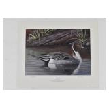 PINTAIL by Jeremy Dennis Print 673/1000