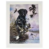 Black Lab Hunting Dog Print by Bruce Matteson S/N