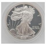 2003-W American Eagle 1 Oz Fine Silver Dollar
