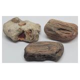 (2) Petrified Wood & Fossilized Piece