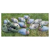 (12) Mallard Shell Field Decoys