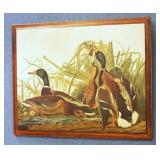 Mallard Ducks Hens & Drakes Wall Art Picture