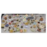 Collection of Boy Scout Pins & Souvenir Pins