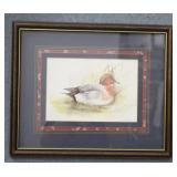 Eurasian Wigeon Duck Print