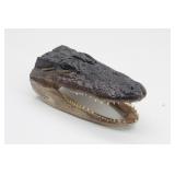 Small 7" Aligator Head